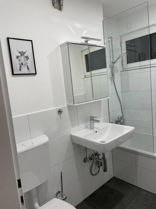 Penthouse, Offenburg,Europapark Apartment Ngoại thất bức ảnh